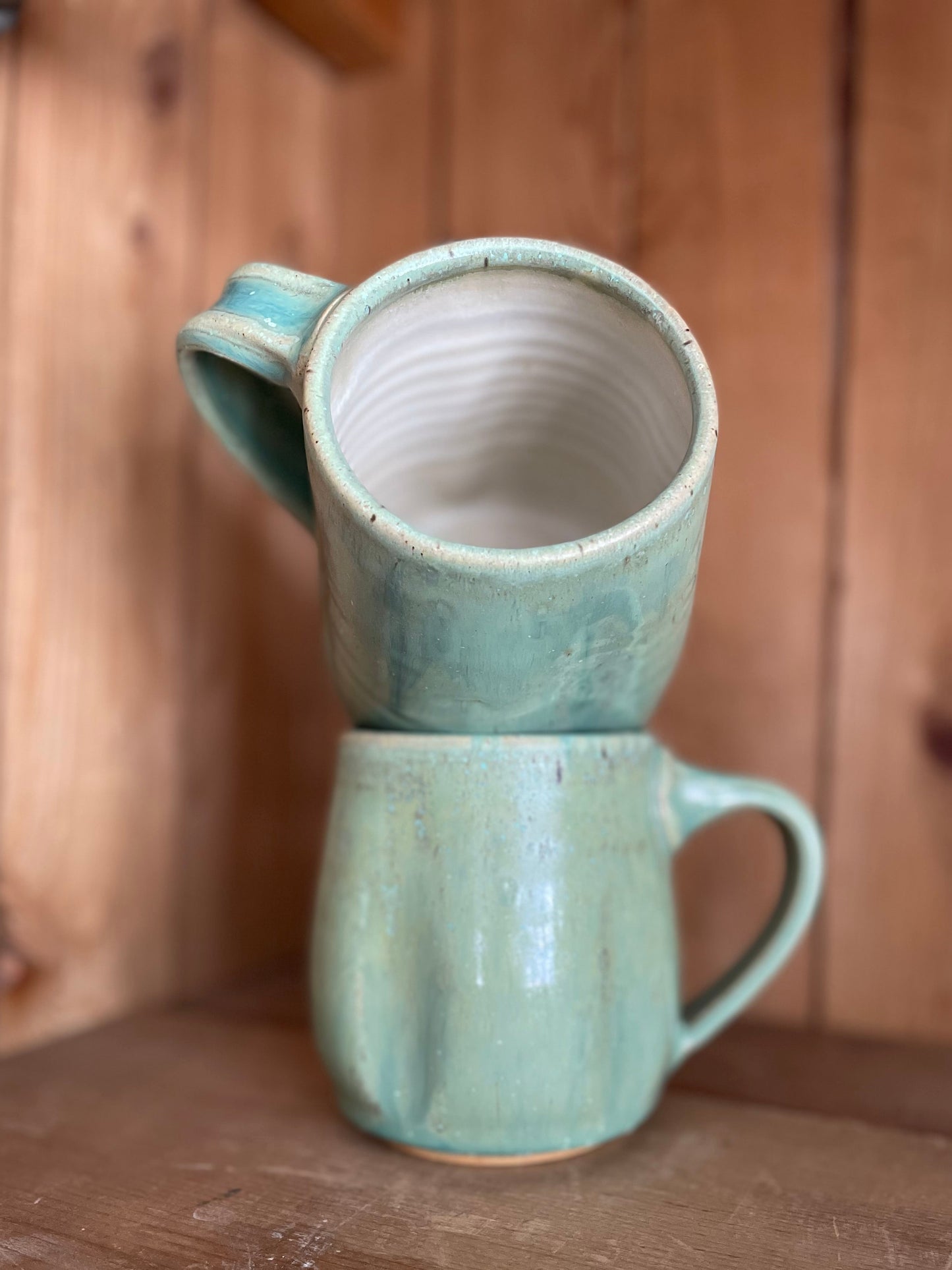 Shiny Lichen Mug