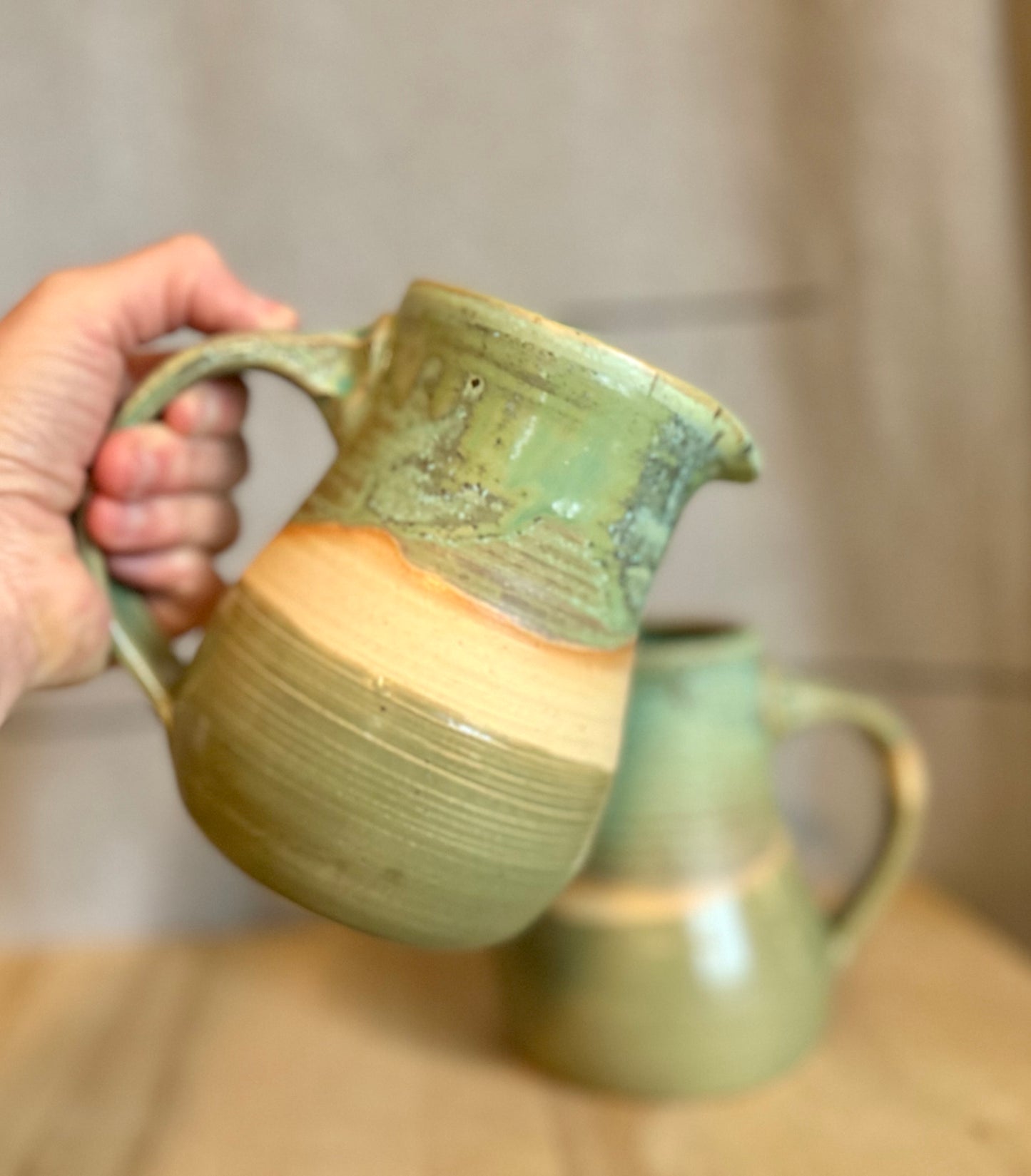 Lichen Over a Pond Pitcher