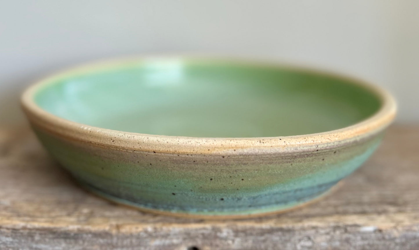 Lichen and Honeydew Dinner Bowl