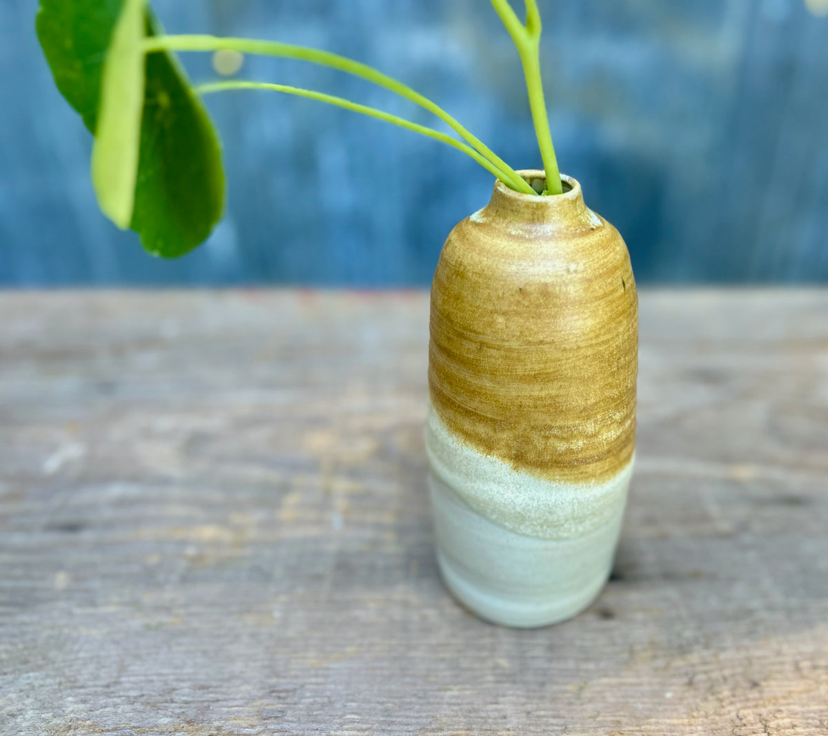 Maple On Fog Vase