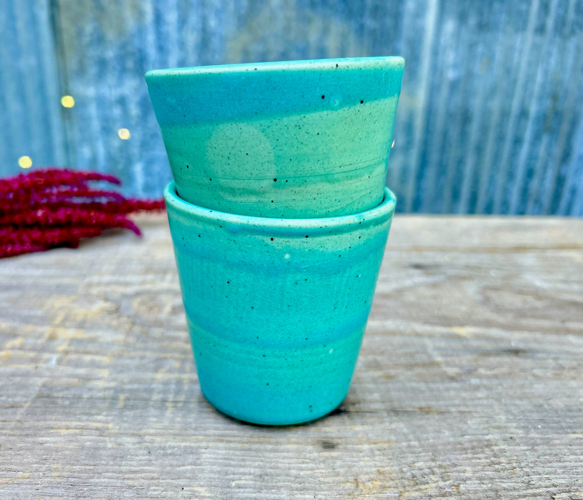 Lake Michigan Cup