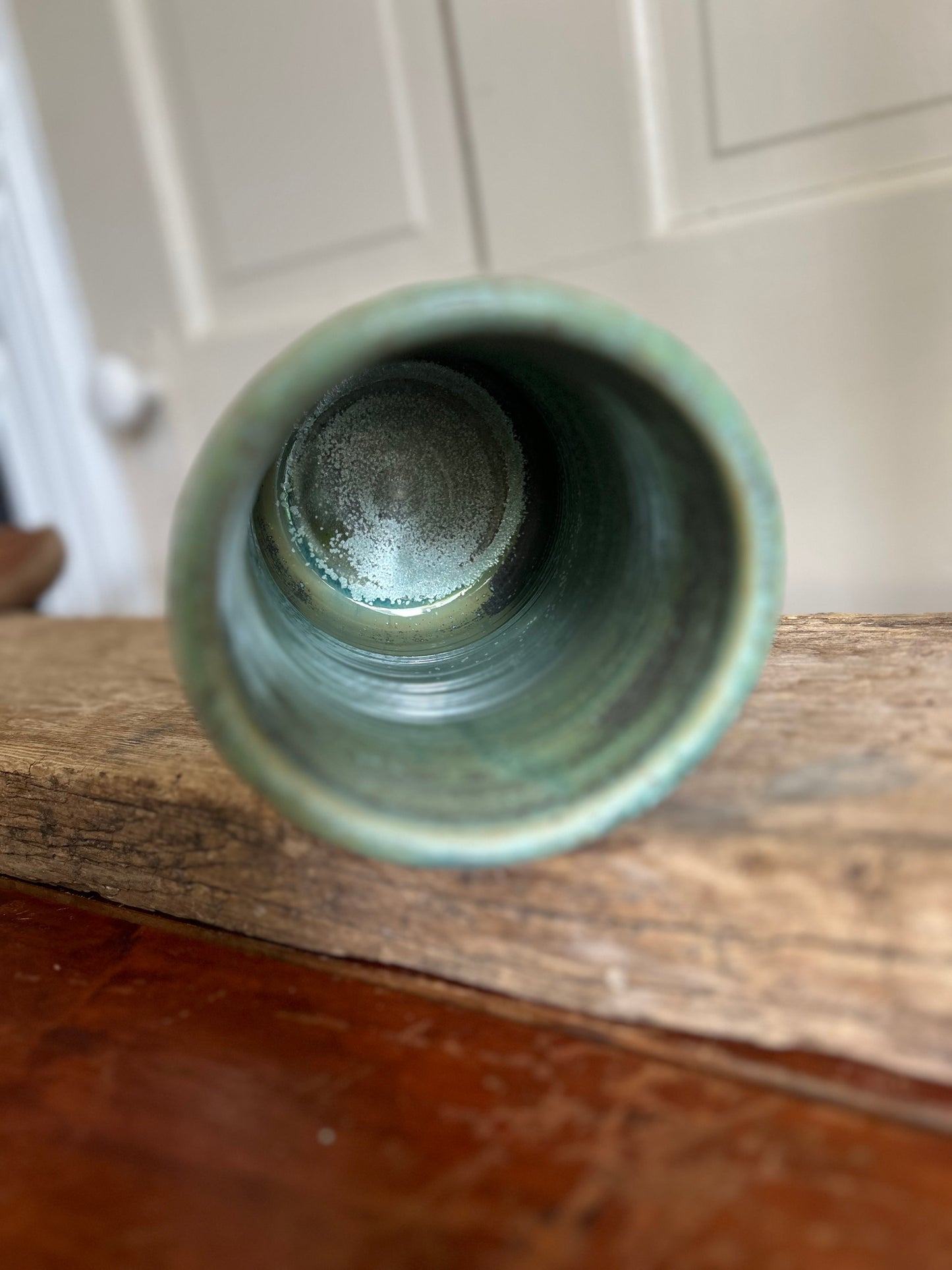 Lichen Utensil Holder