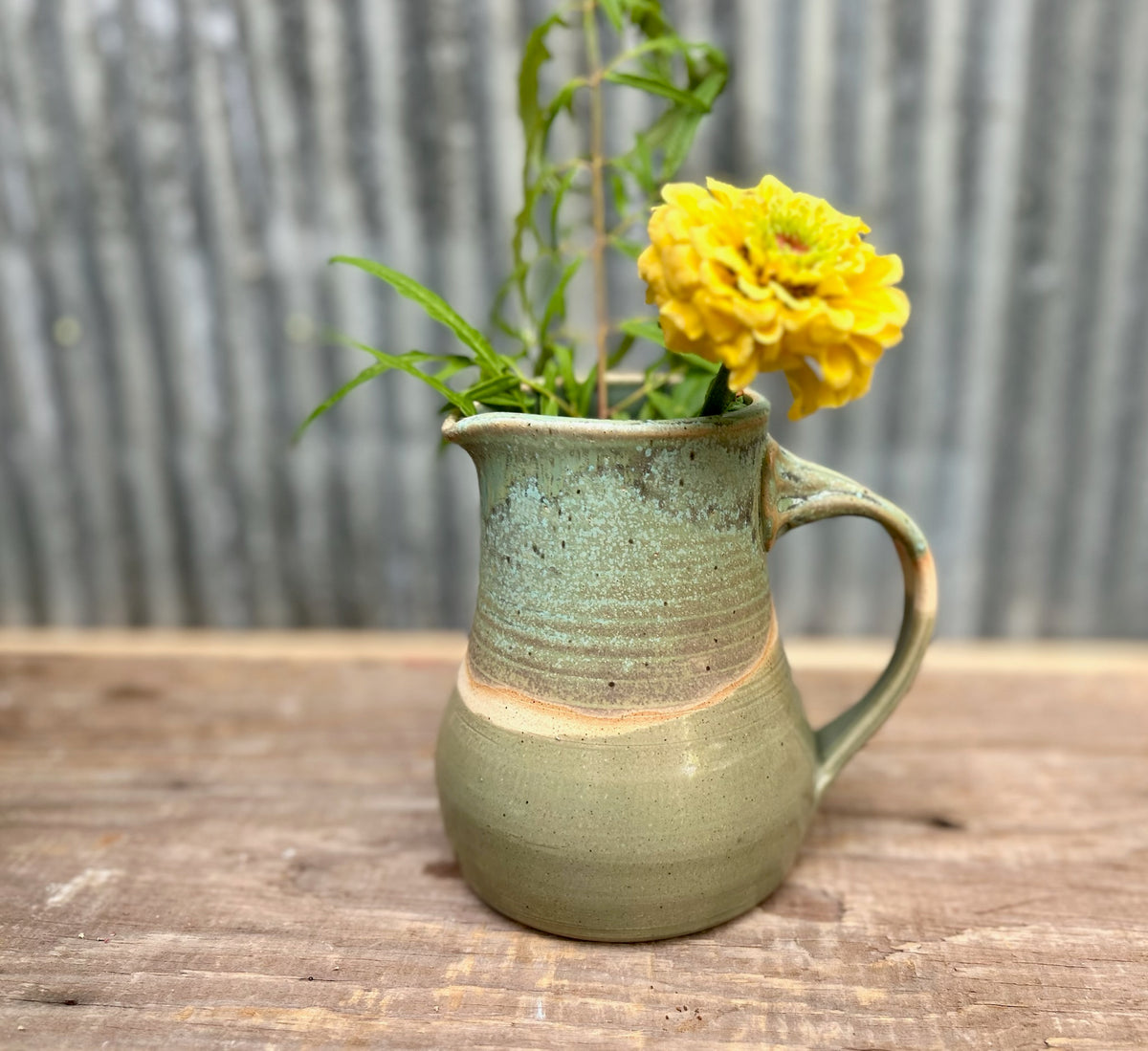 Lichen Over a Pond Pitcher