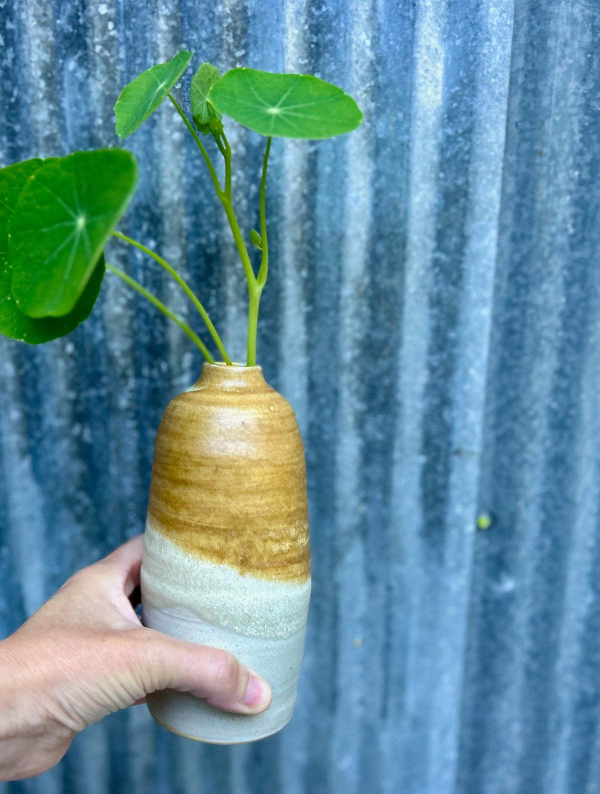 Maple On Fog Vase