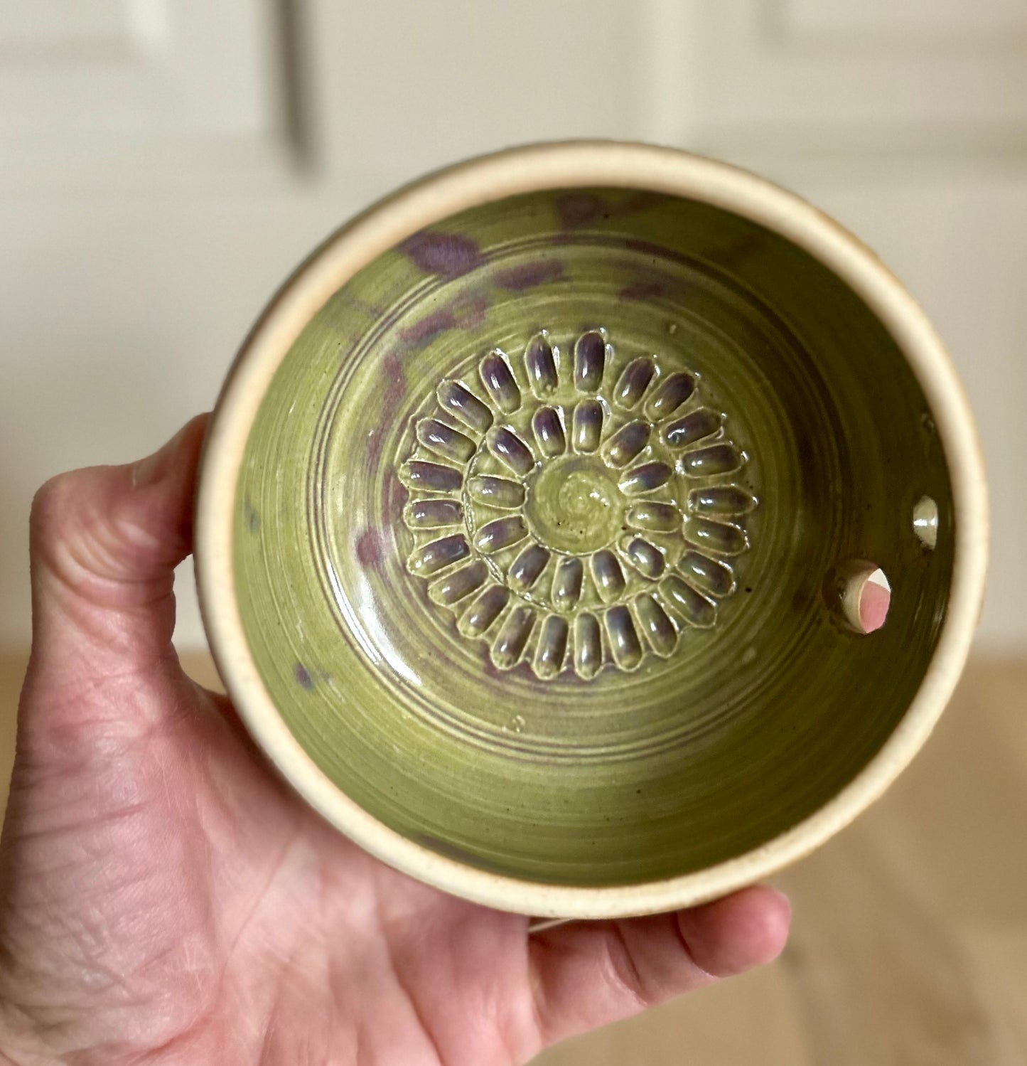 Hosta Garlic & Herb Dish