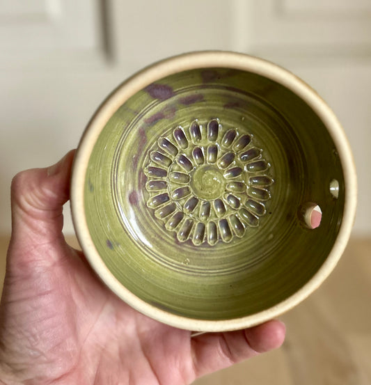 Hosta Garlic & Herb Dish