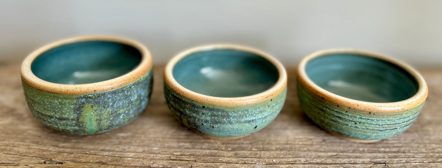 Lichen With Artichoke set of 3