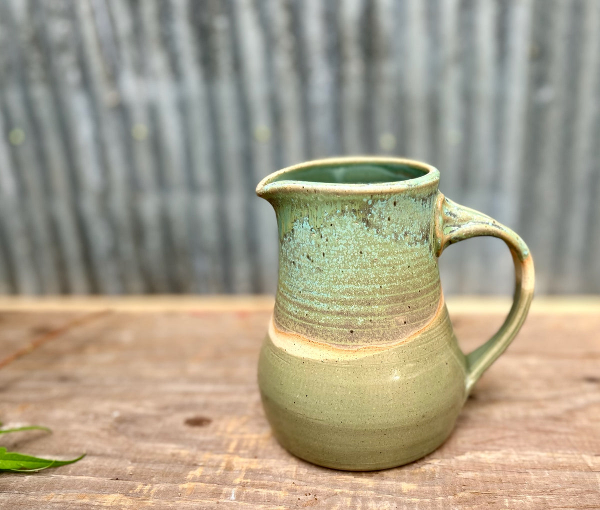 Lichen Over a Pond Pitcher