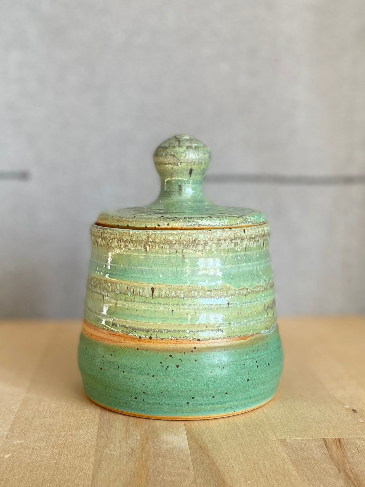 Lichen over Grass Storage Jar