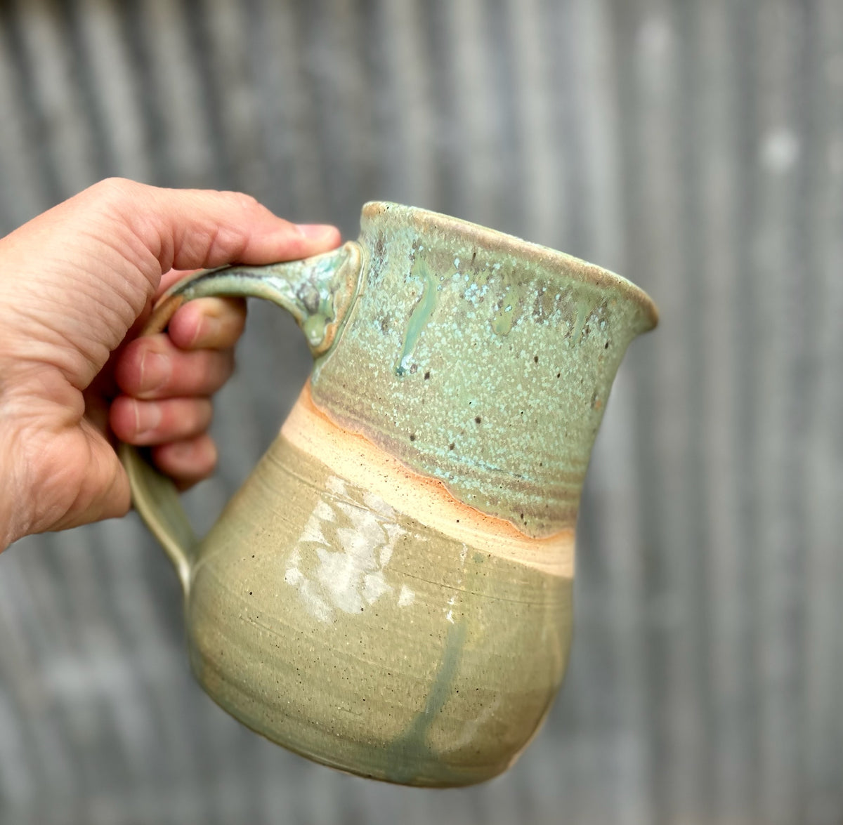 Lichen Over a Pond Pitcher