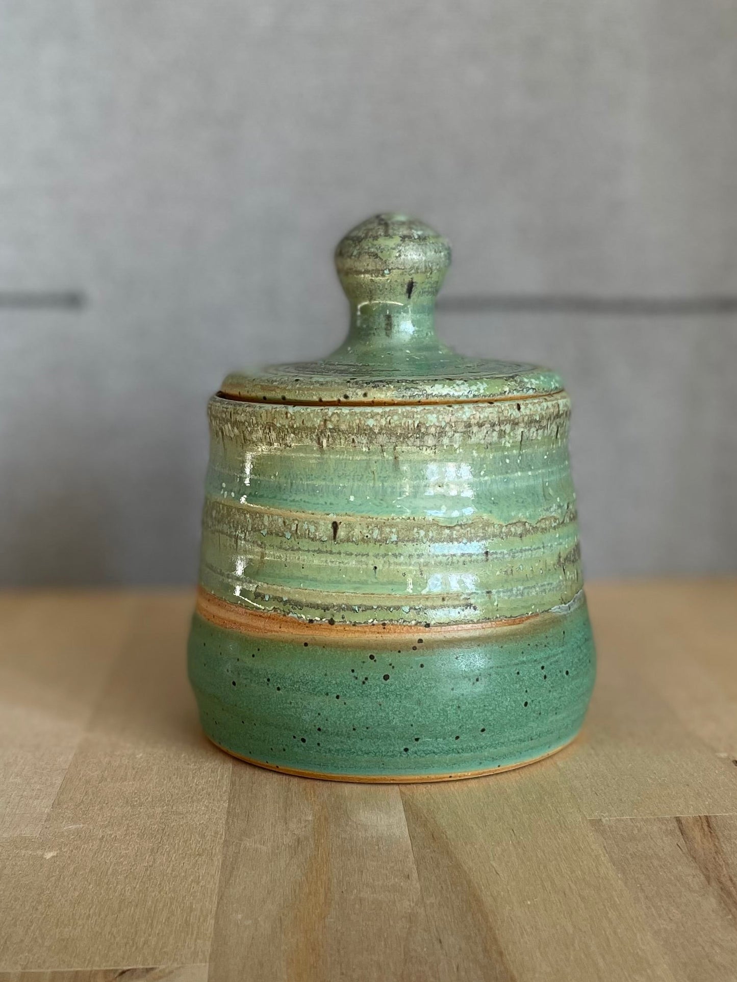 Lichen over Grass Storage Jar