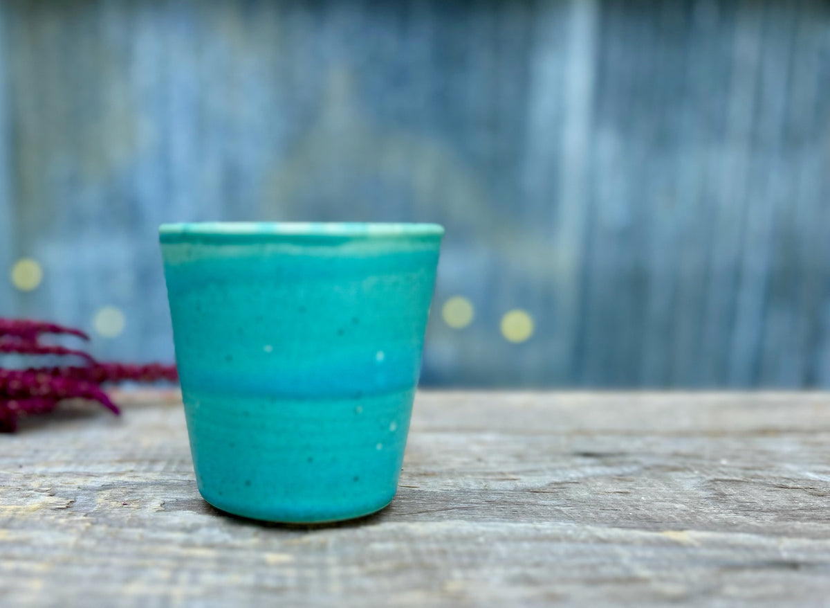 Lake Michigan Cup