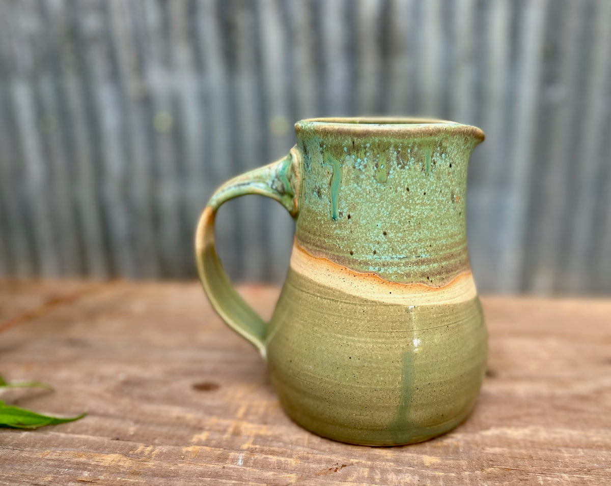 Lichen Over a Pond Pitcher