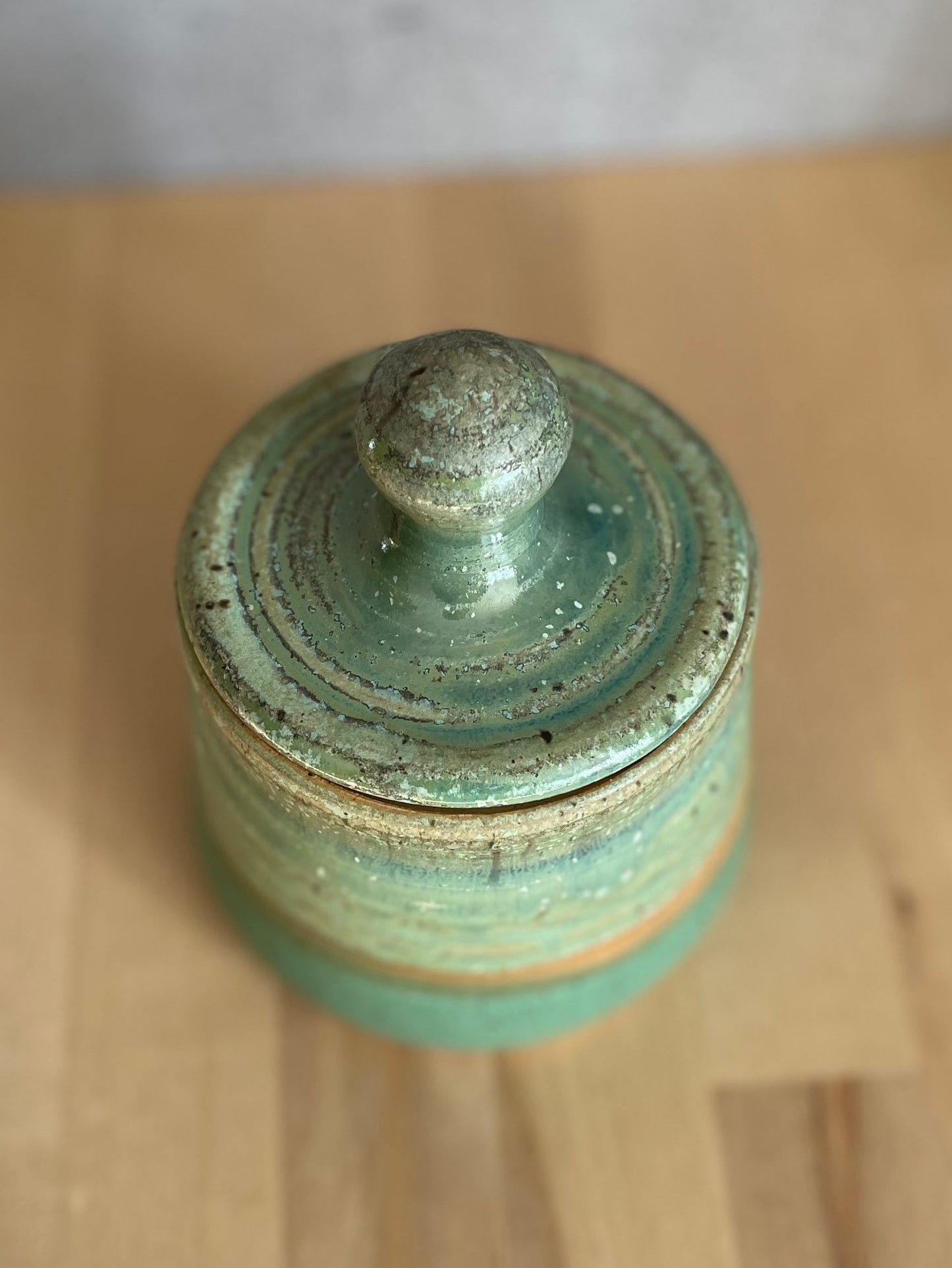 Lichen over Grass Storage Jar