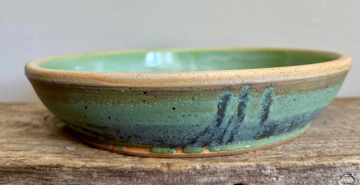 Lichen and Honeydew Dinner Bowl