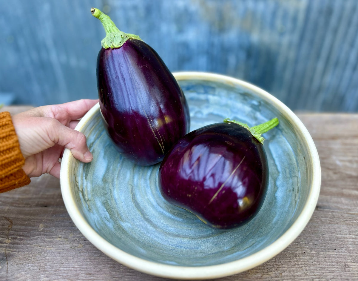 Fall Waters Gathering Bowl