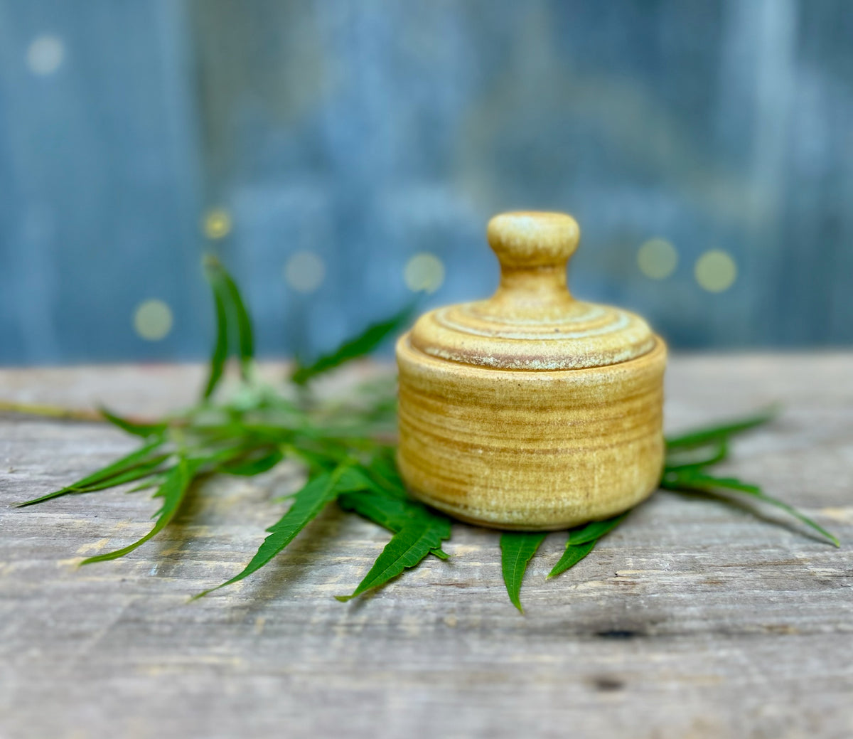 Maple Salt Cellar