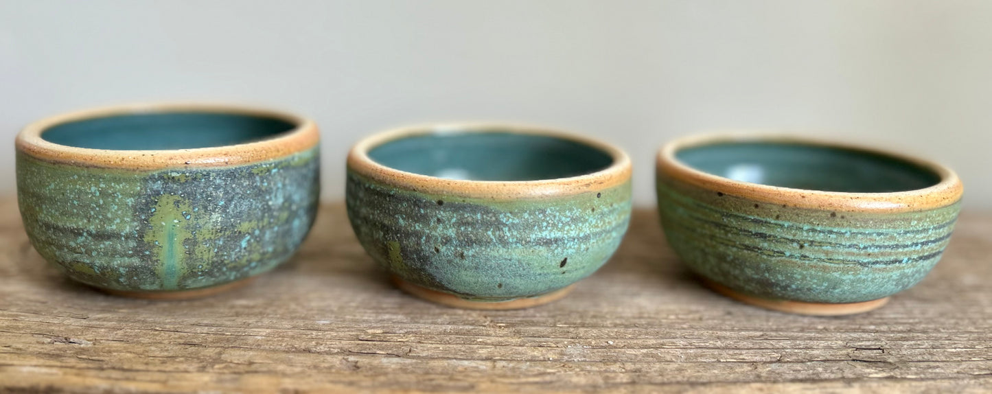 Lichen With Artichoke set of 3